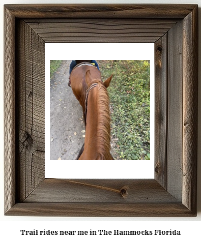 trail rides near me in The Hammocks, Florida